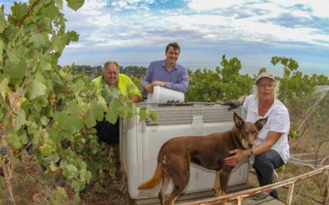 Pinot Noir Vertical Tasting at Kilgour Winery