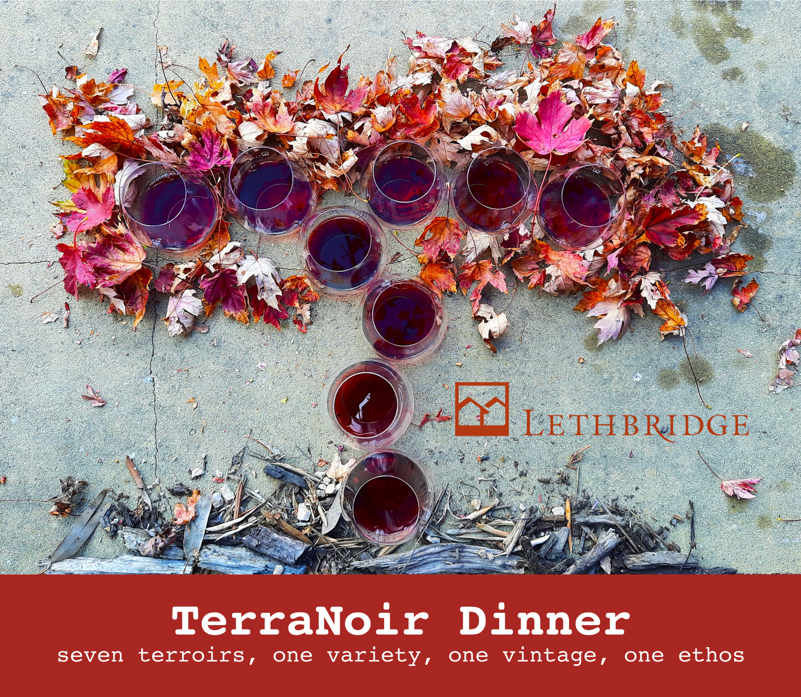 Lethbridge Wine’s TerraNoir Dinner Pinot Affair at the Wineries