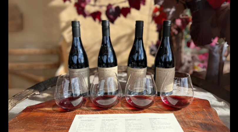 Geelong Single Vineyard Pinot Noir Masterclass