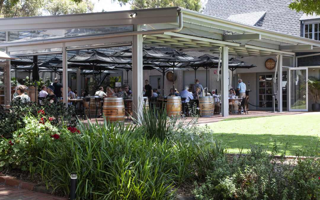 Taste & Sip – A Culinary Journey with Pinot Noir Through Time
