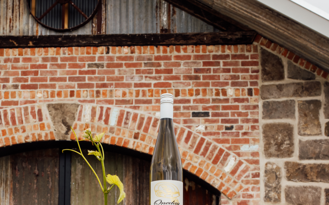 The Oneday Online Pinot Love Festival